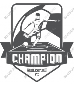  The football champion