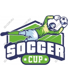  Cup football
