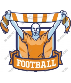  Football fan