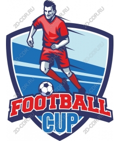  Cup football