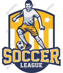 The dynamics of the football League
