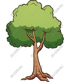  Bright tree