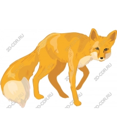  Bright foxes