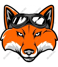  Fierce Fox in glasses