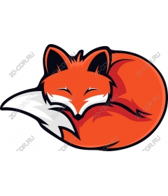  Sleeping Fox