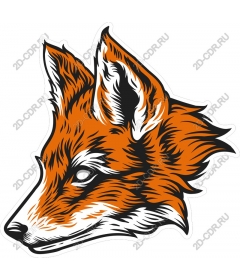  Stylish Fox head