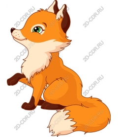  Charming playful Fox