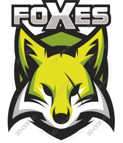  Bright foxes and