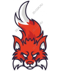  Fierce red Fox