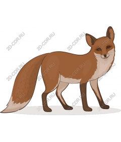  Charming Fox