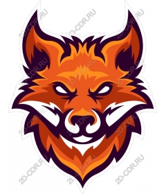 Head of a ferocious Fox