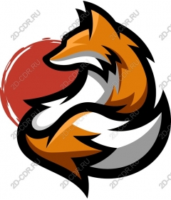  The Stylish Fox