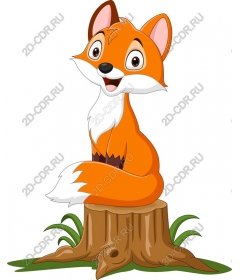  Charming playful Fox