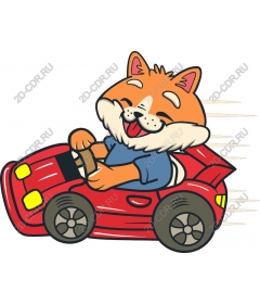  Cartoon cat in a racing car