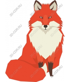  Red Fox