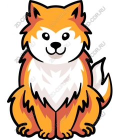  Fluffy dog