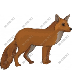  Charming Fox