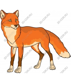  Bright foxes