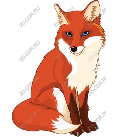  Charming red Fox