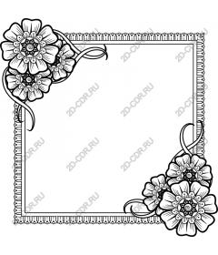 Floral frame - Elegant and