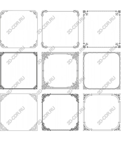 Set of delicate frames with ornament