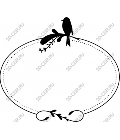  Adorable bird and the vine