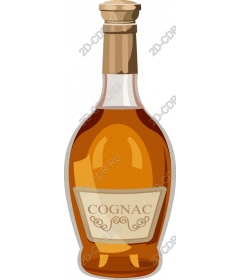  The elegant bottle of cognac