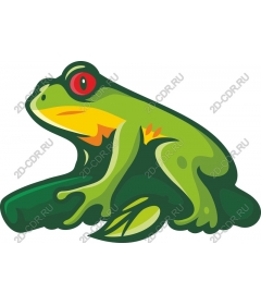  Bright green frog