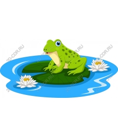 Frog on a Lily pad
