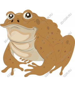  The charming frog