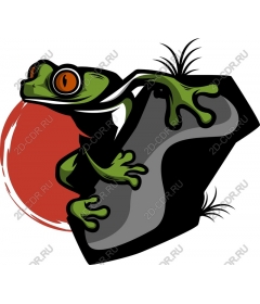 Living green frog