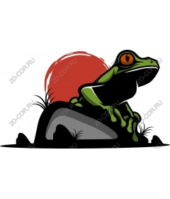  The frog at sunset