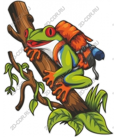  The frog adventurer