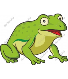  Bright green frog