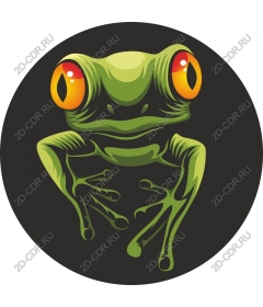  Tropical tree frog