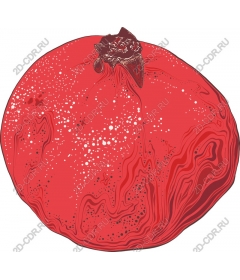  Bright pomegranate