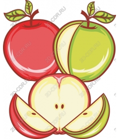  Bright Apple