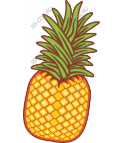  Colourful pineapple