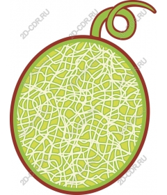  Bright watermelon