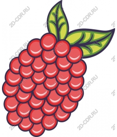  Bright raspberry