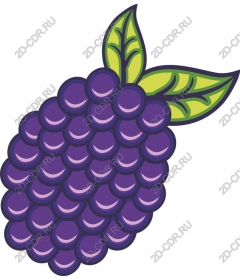 Juicy BlackBerry