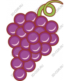  Bright purple grapes