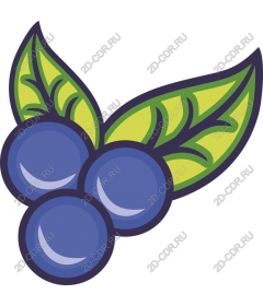  Fresh blueberries