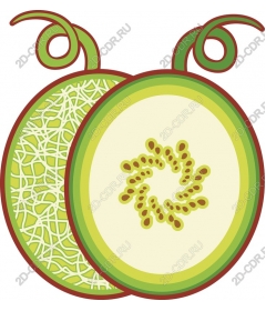 Melon duet