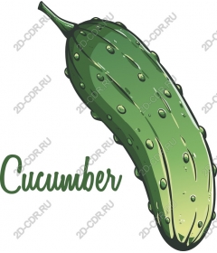  Cucumber