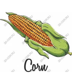  Bright corn on the cob