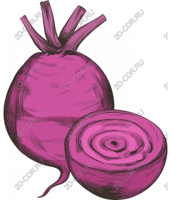  Bright pink turnips