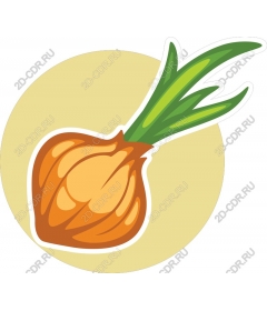 Fresh onion