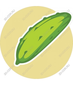  Cucumber