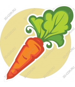  Colorful Carrots